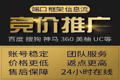 SEM代运营服务公司案例分析：数据驱动营销策略